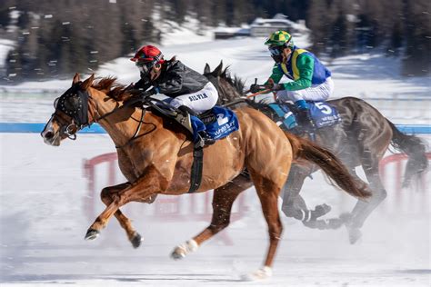 Cómo se Apuesta en los Caballos - apuesta.com.pe