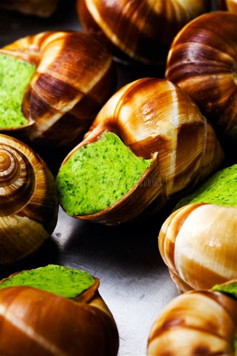 Edible Snails Stock Photography - Image: 7697762