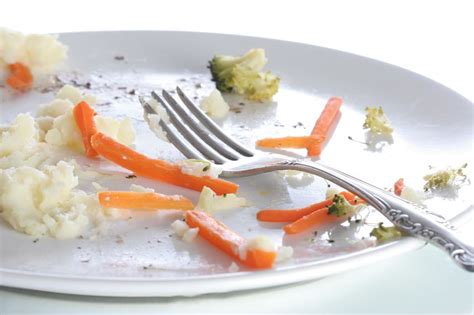 SISA MAKANAN (PLATE WASTE) - Blog AhliGiziID