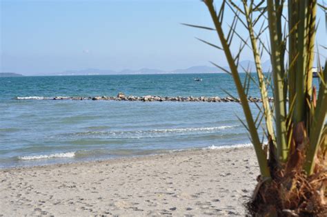 ! Murcia Today - Los Alcázares Beaches: Playa Manzanares