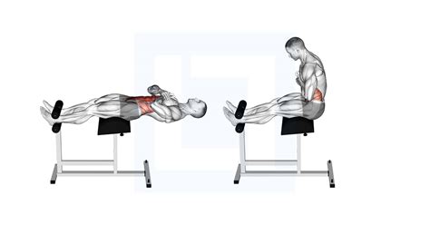 Roman Chair Sit Up - Guide, Benefits, and Form