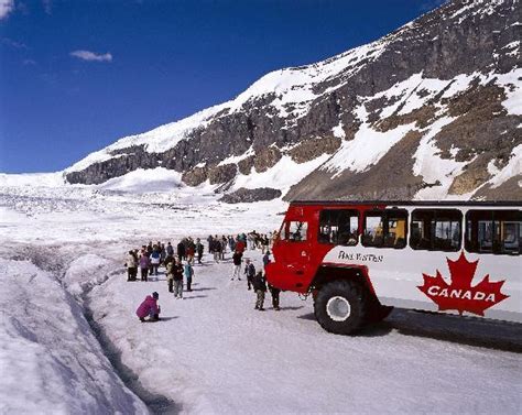 Columbia Icefield Glacier Adventure (Banff, Alberta): Hours, Address, Tickets & Tours ...