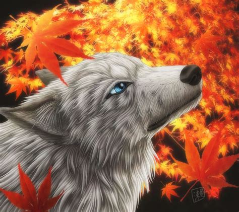 Autumn Wolf by SheltieWolf on DeviantArt