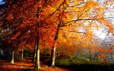 Autumn Scenery - Random Photo (35926731) - Fanpop