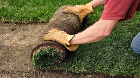 How to Sod Grass - Sod Installation Process