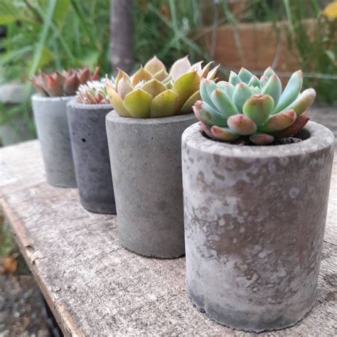 Concrete Mini Pots for Succulents Set of THREE Small Planters - Etsy