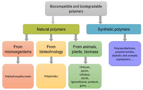 Polymers | Free Full-Text | Biocomposite Materials Based on Poly(3-hydroxybutyrate) and Chitosan ...