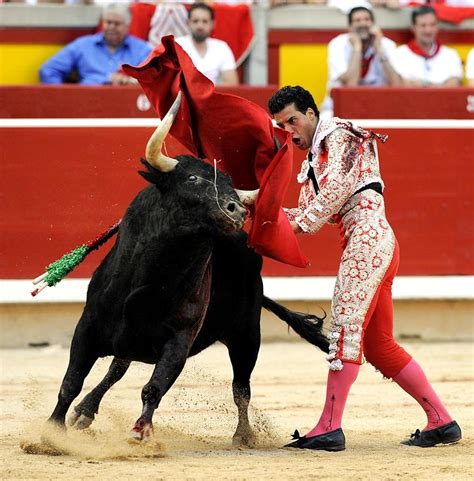 ¡Impidamos próxima corrida de toros en Morelos! / Tauromaquia / AnimaNaturalis