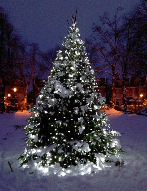 Amazing Christmas Tree Lights | Keepyourmindclean Ideas