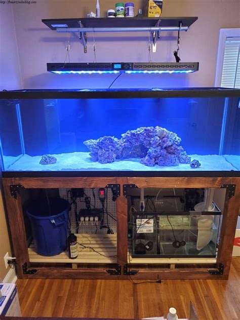 36 Surprising Cheap Aquarium Stand Ideas Solution | Cheap aquariums, Aquarium stand, Diy ...