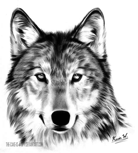 Wolf Pencil Sketch at PaintingValley.com | Explore collection of Wolf Pencil Sketch