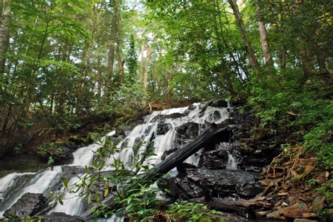 The Best Waterfalls to Visit at Georgia’s State Parks this Summer ...