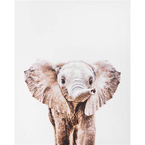 Elephant Canvas Wall Art, 16" x 20" | At Home