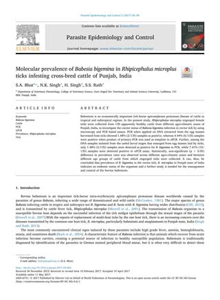 Molecular prevalence of babesia bigemina in rhipicephalus microplus ...