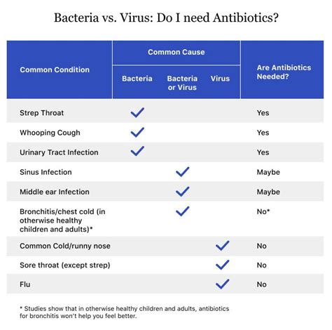 Taking Antiobiotics Safely | How They Work, Types & Side Effects