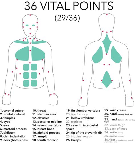 [DIAGRAM] Spine Pressure Points Diagram - MYDIAGRAM.ONLINE