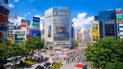 Shibuya Crossing Pictures: View Photos & Images of Shibuya Crossing