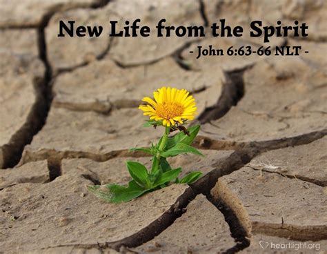 "New Life from the Spirit" — John 6:63-66 (What Jesus Did!)