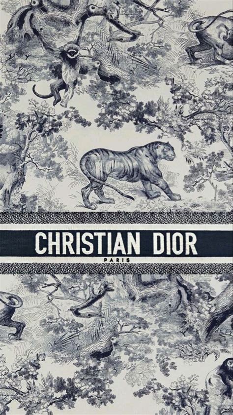 CHRISTIAN DIOR PARIS https://t.me/shimikirireef in 2023 | Iphone ...