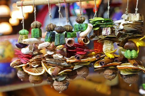 Exploring the Budapest Christmas Market in Hungary - Tammilee Tips