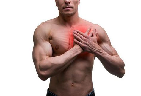 Signs of a Pulled Chest Muscle | Chest muscles, Health guide, Muscle