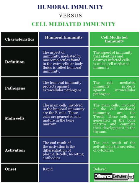 Difference Between Humoral and Cell Mediated Immunity | Difference Between