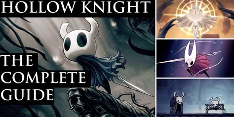 A Complete Guide to Hollow Knight