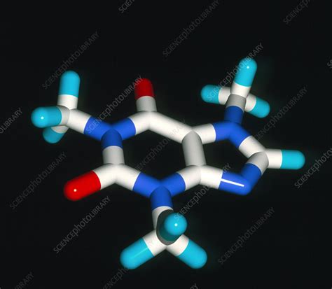 Caffeine molecule - Stock Image - A624/0074 - Science Photo Library