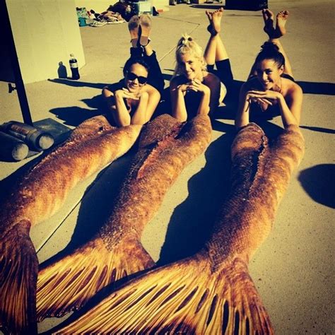 Log in — Instagram | H2o mermaid tails, Mako mermaids, H2o mermaids