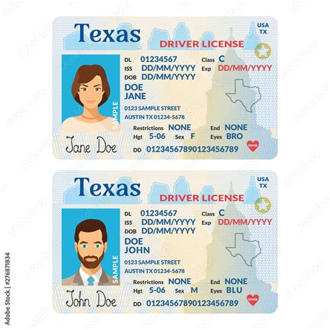 Vector template of sample driver license plastic card for USA Texas Stock Vector | Adobe Stock