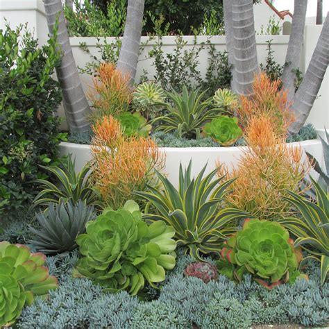 Pin by Tricia Williams on Succulent Landscaping | Succulent landscape design, Succulent ...