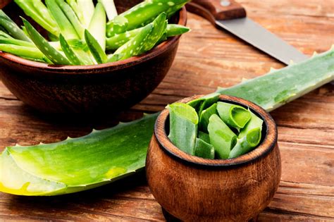 8 Health And Beauty Benefits Of Aloe Vera | ThriveNaija