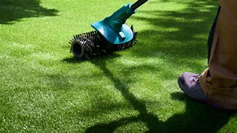 7 Effective Ways to Clean and Maintain Artificial Grass - Best Grass ...