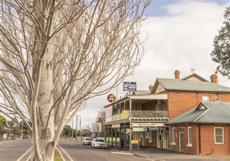 Hillston NSW - Accommodation, Maps, Attractions & Events