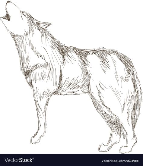 Wolf sideview sketch icon Royalty Free Vector Image