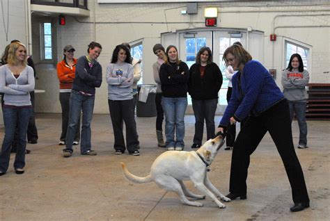 Lessons on animal behavior | College of Agriculture and Life Sciences