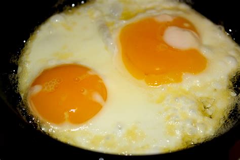 Sunny Side Up Fried Eggs Close-Up – Photos Public Domain