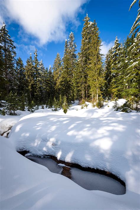 Cypress Mountain Snowshoeing | Mike Heller Photography | PhotoKaz.com