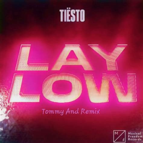 Stream Tiësto - Lay Low(Tommy And Remix) by Tommy And | Listen online ...