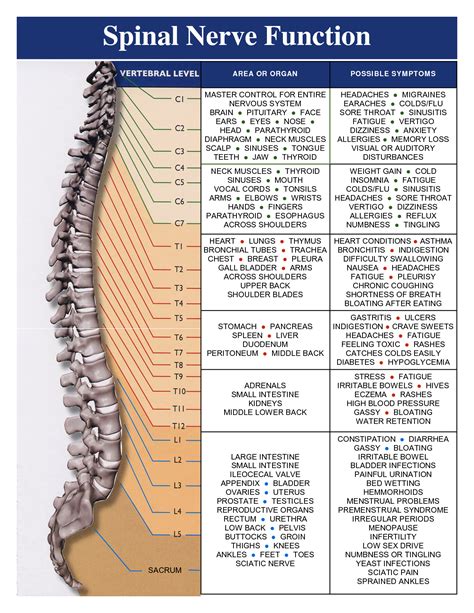 Vital Connections – Briggs Chiropractic Clinic