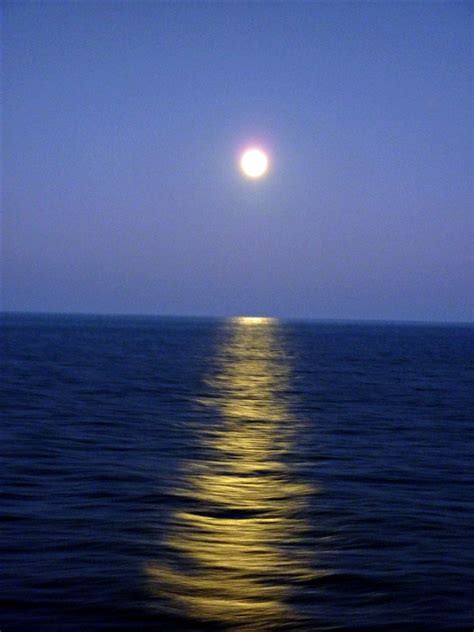 Moonlight on the ocean: doc lm: Galleries: Digital Photography Review : Digital Photography Review