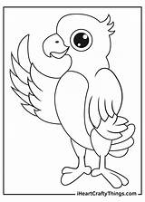 Parrot Coloring Page sketch template