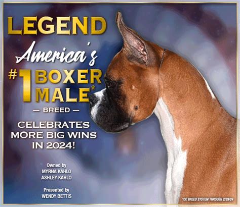 Mattoon Kennel Club, Inc. – Sunday, April 28, 2024 | Canine Chronicle