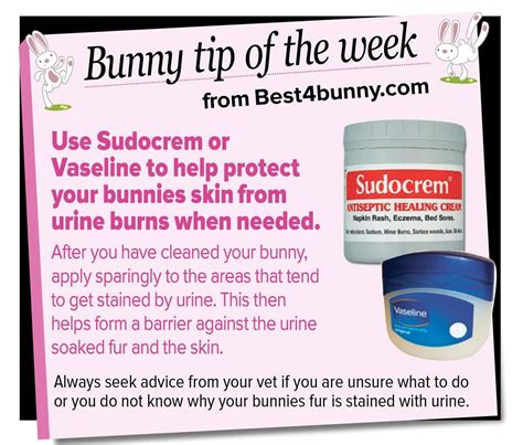 Protect Your Bunny's Skin with Sudocrem or Vaseline