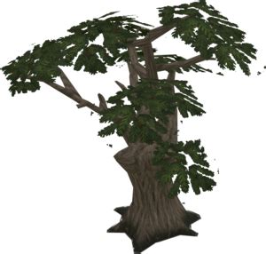 Yew tree (Farming) - The RuneScape Wiki