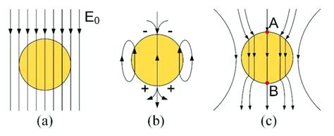 Illustration of electric fields: (a) uniform electric field, (b)... | Download Scientific Diagram