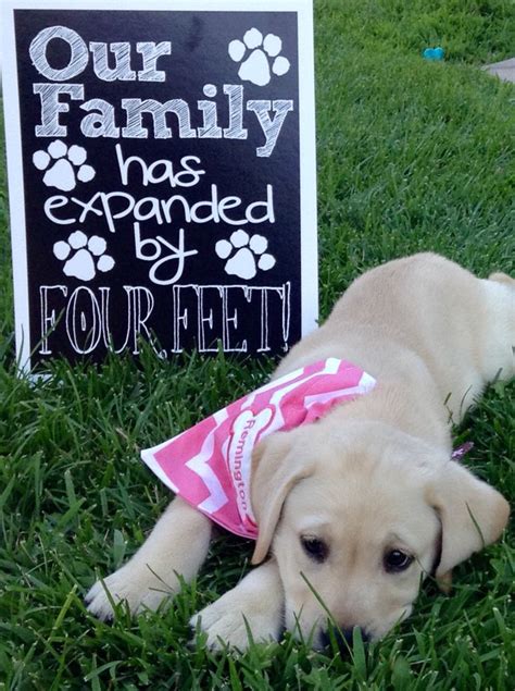 New Puppy Announcement PERSONALIZED Our Family Has Expanded | Etsy in 2021 | Puppy announcement ...