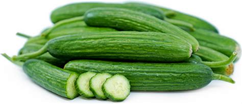 Persian Cucumbers Information and Facts