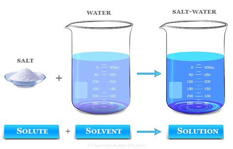 Solvent - Definition, Types, Examples - Chemistry