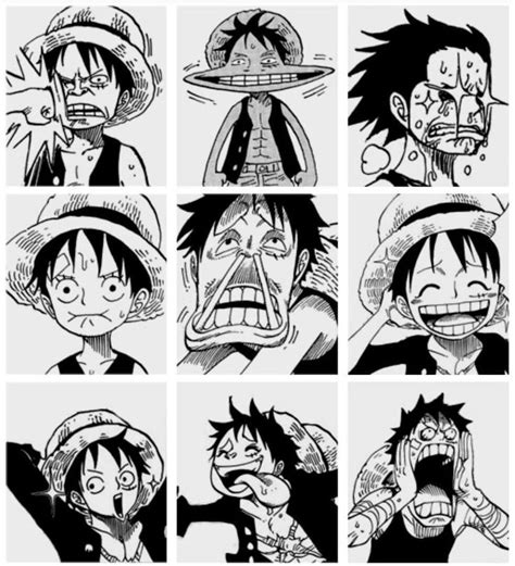 My personal collection of one piece memes ships and more | One piece manga, One piece funny, One ...